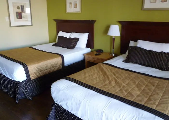 Days Inn By Wyndham Alamo/Riverwalk