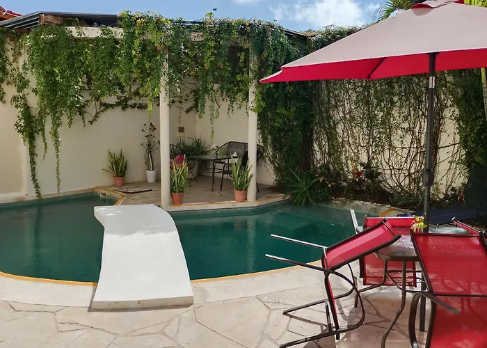 B&B only: Bed And Breakfast Pecari