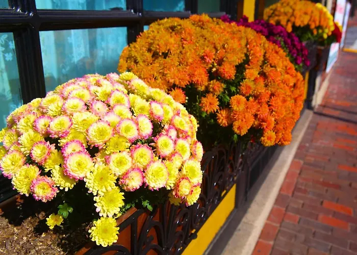 B&B only: Inn At St John Portland In-Town