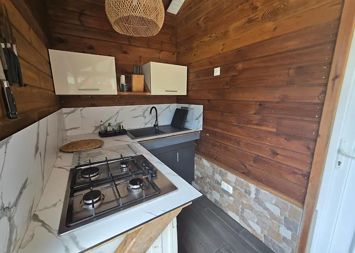 Magnifique Maison En Bois Avec Piscine