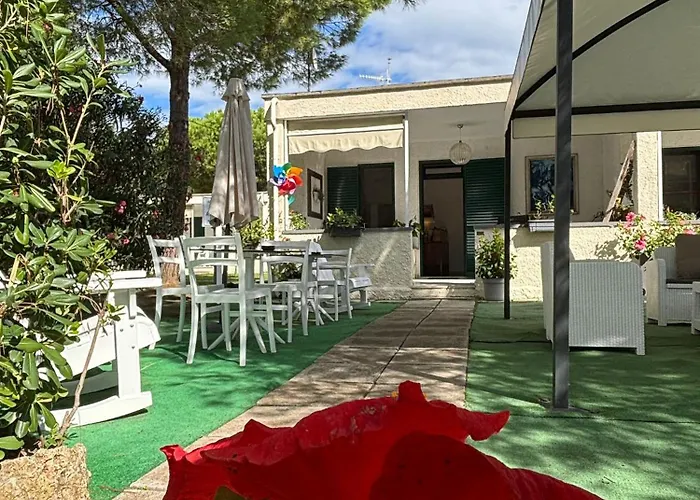 Hotel Ping Pong: Ibiscus Beach Village