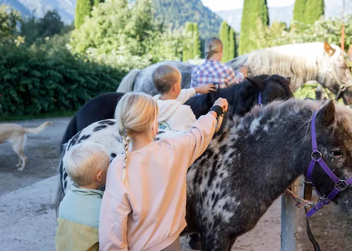 Skihotel: Narzissendorf Zloam Apartments