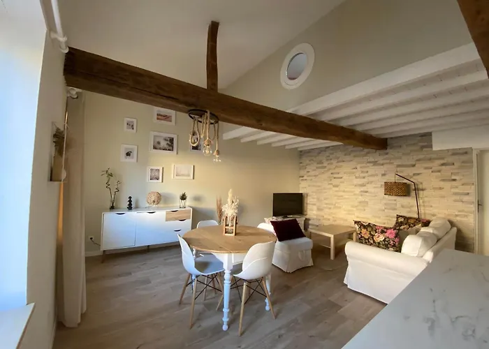 Charmant appartement centre ville de Castres
