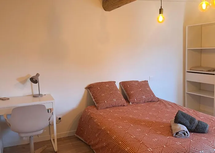 Charmant appartement centre ville de Castres