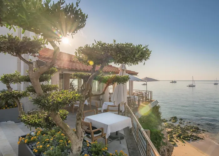 Hotel com vista: The Albatroz Hotel