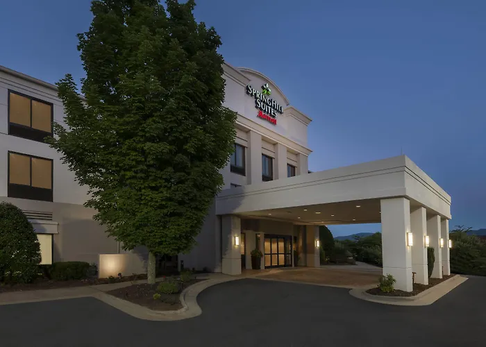 Pet Friendly hotel: Springhill Suites Asheville
