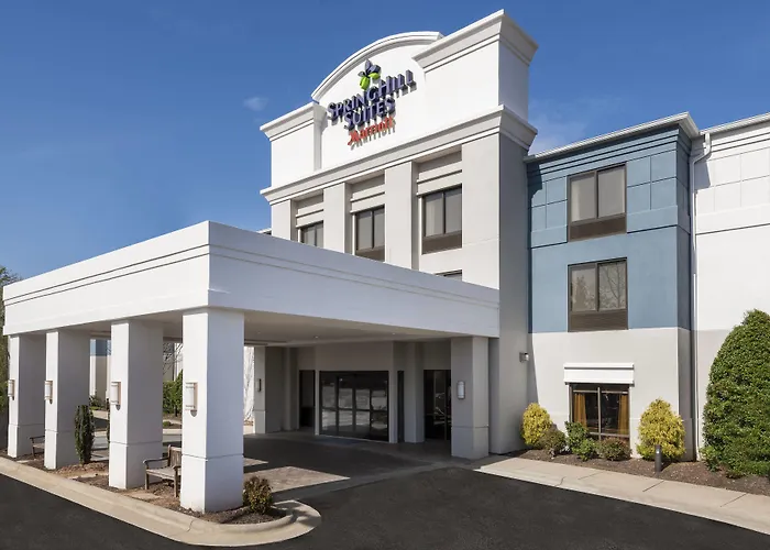 Pet Friendly hotel: Springhill Suites Asheville