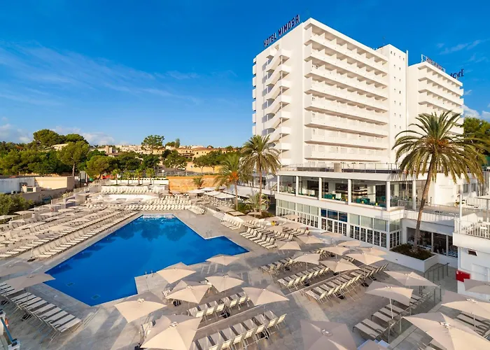 Hôtel central: Globales Mimosa