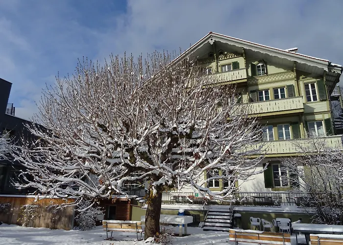 Hostel: Backpackers Villa Sonnenhof - Hostel Interlaken