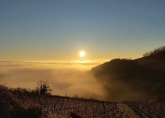 La petite Madeleine de Chavignol