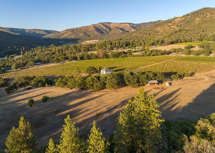 Starry Oak Vineyard Retreat W Hot Tub