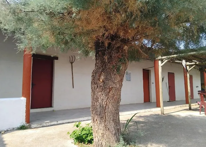 Appartement avec jardinet dans mas équestre