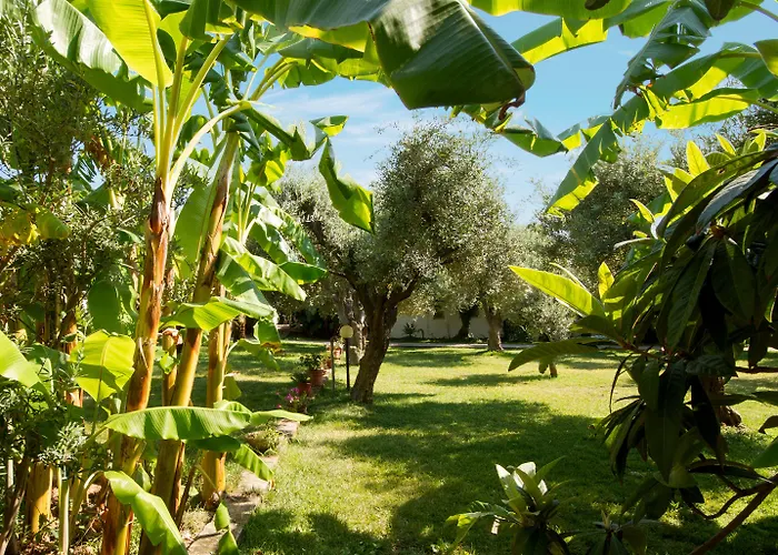 Tonicello Hotel Resort&SPA