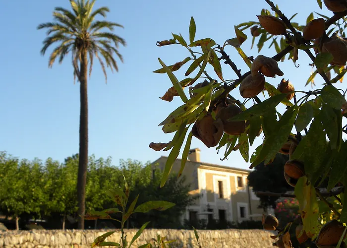 Agroturismo Son Siurana