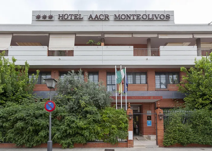  AACR Monteolivos