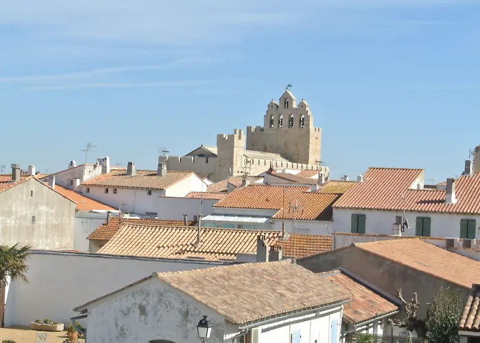 Les Palmiers En Camargue