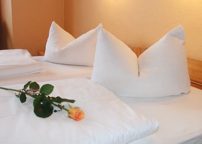 Guest house: Hotel Am Hermannplatz