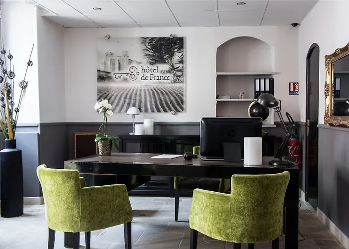 Hôtel accueillant les animaux: Hôtel De France