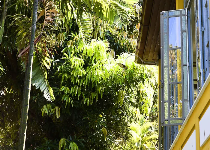 Casa de hóspedes: Casa Amarelo