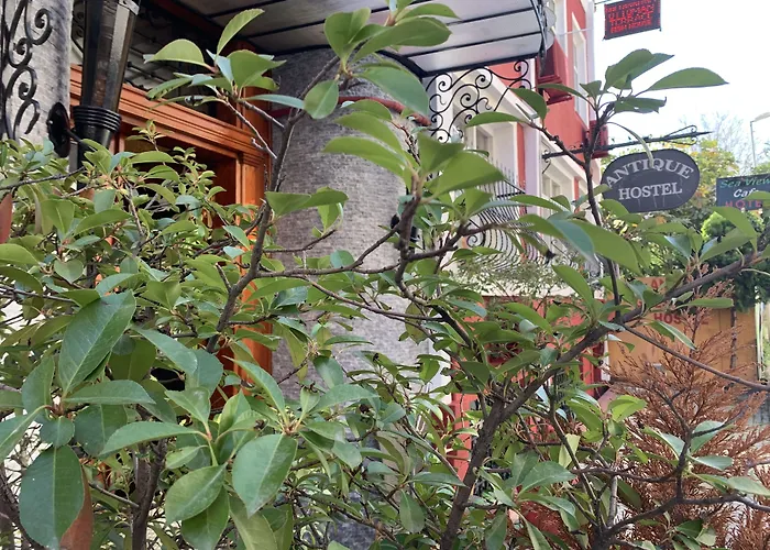 The Hostels Antique