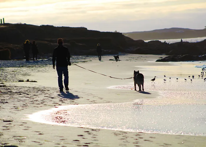 B&B only: Pacific Gardens Inn