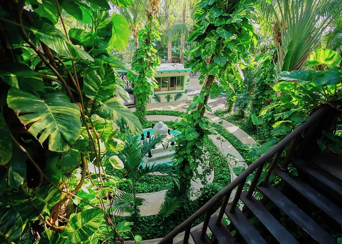 Hotel familiar: Hotel Villas Tiburon Adults Only
