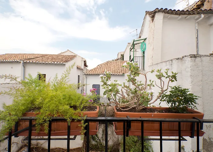  Oasis Backpackers' Granada