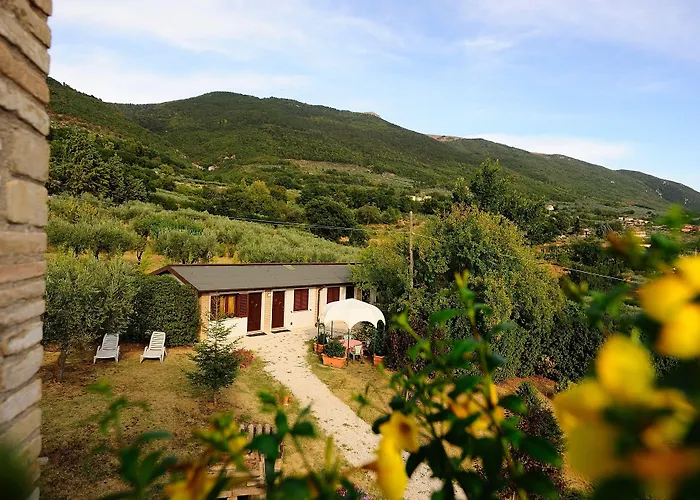 Colle Degli Olivi