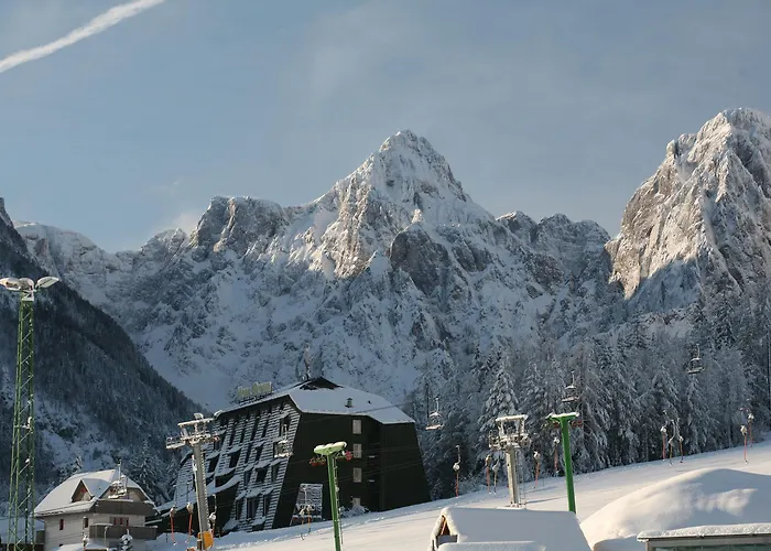 Hotel Alpina