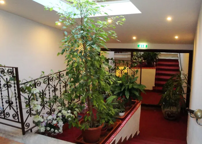 Hotel 3 stelle: Hotel Europa