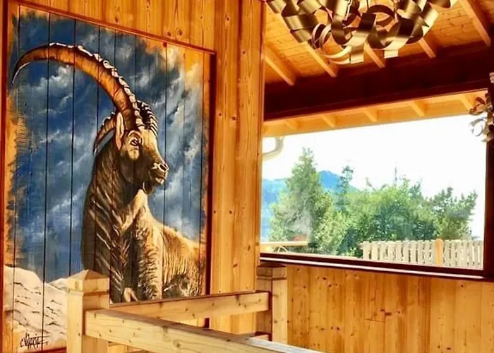 Hôtel accueillant les animaux: Hotels Les Catrems&Le Montagnou