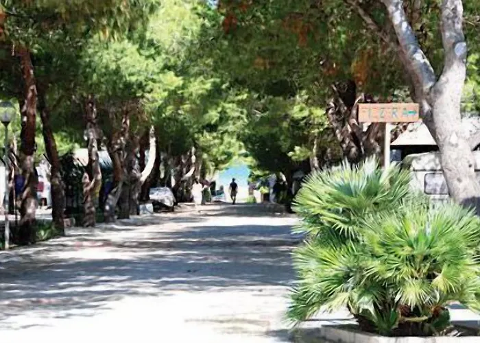 Camping La Pineta