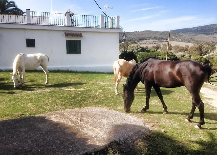 Hotel-Apart CORTIJO LAS PIÑAS