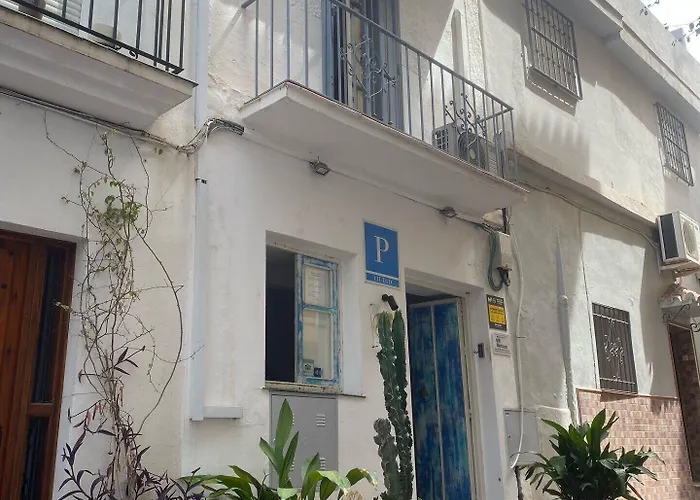 Dog friendly hotels Hostal The Monkey Room