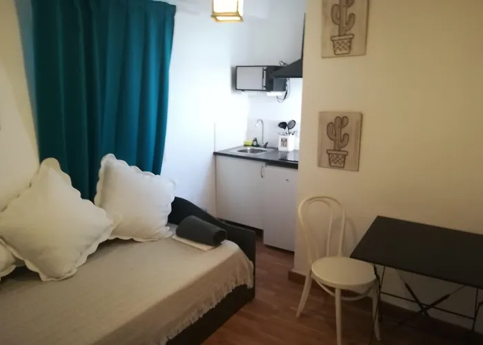 Dog friendly hotels Hostal The Monkey Room