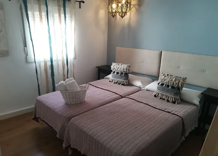 Dog friendly hotels Hostal The Monkey Room