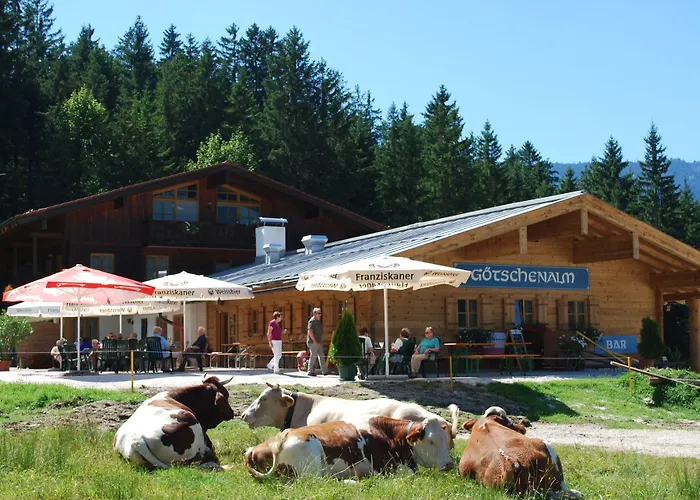 Alpengasthof Götschenalm