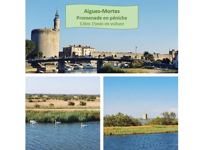 Suite Maya Parking Clim Wifi Centre-Ville Et Port - Rossiconciergerie - Linge Inclus