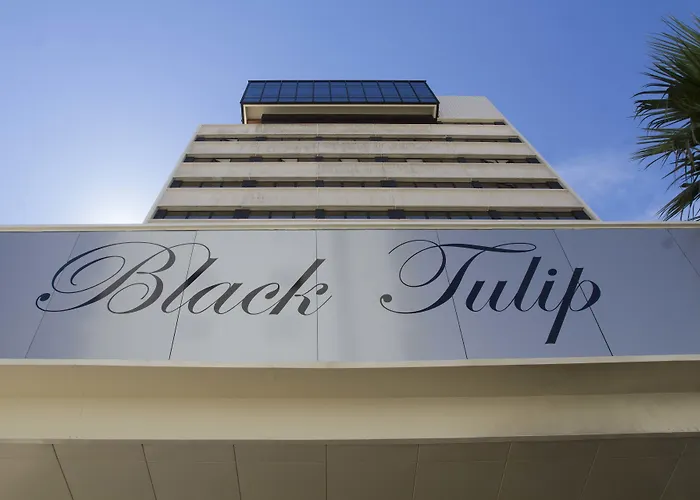 Black Tulip - Porto Gaia