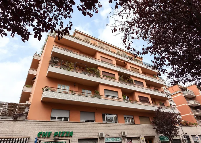 B&B Sol e