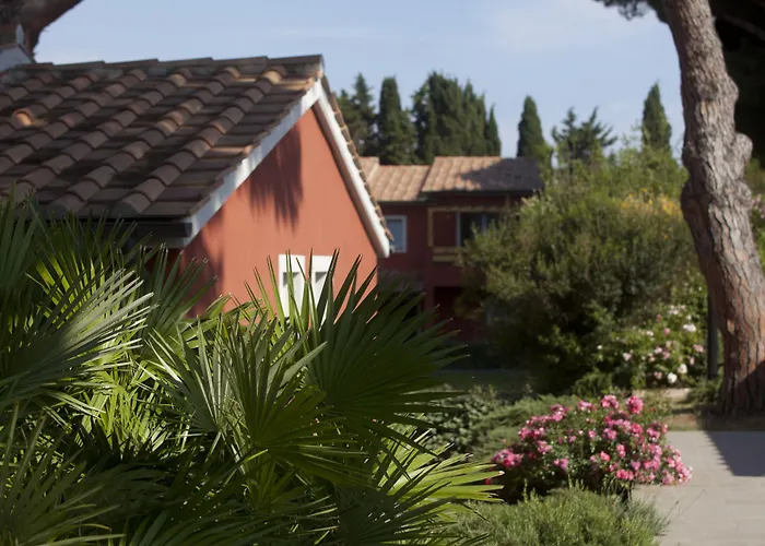 Hotel: Residence Pineta