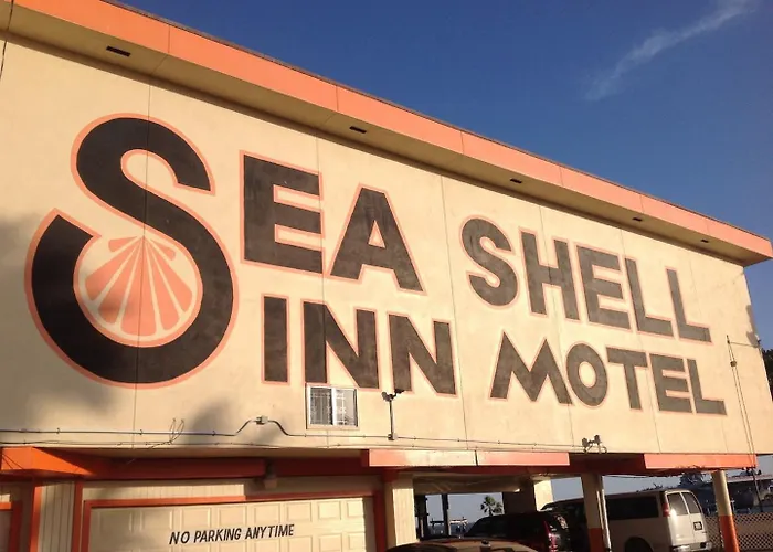 Beach Hotels Sea Shell Inn On The Beach