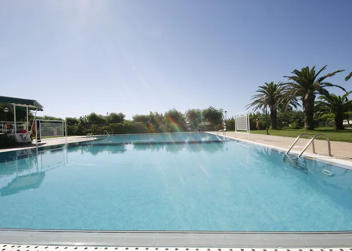 Hotel que admite mascotas: Camping Playa y Fiesta