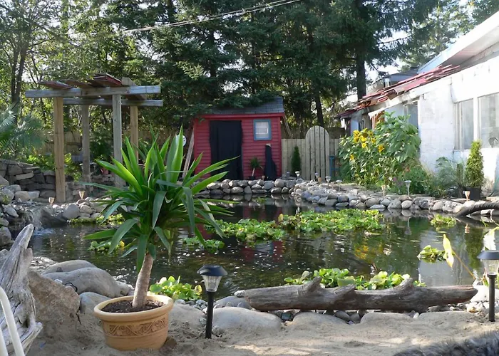 Hotel near College: L'Oasis Du Pirate