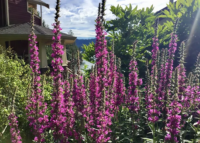 The Tuwanek Bed And Breakfast