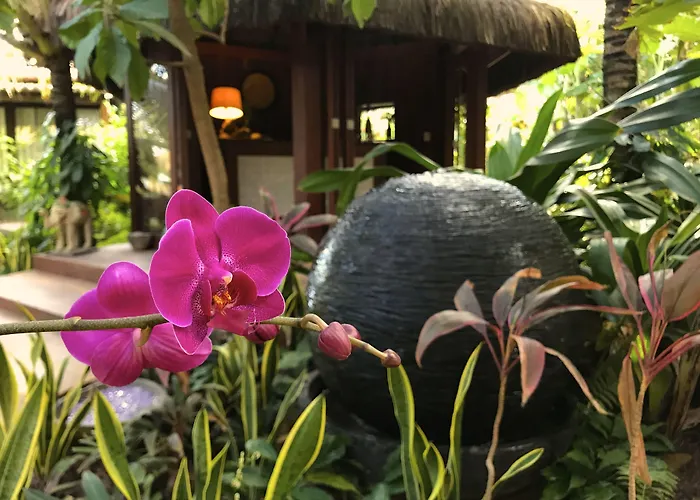 Paua Boutique
