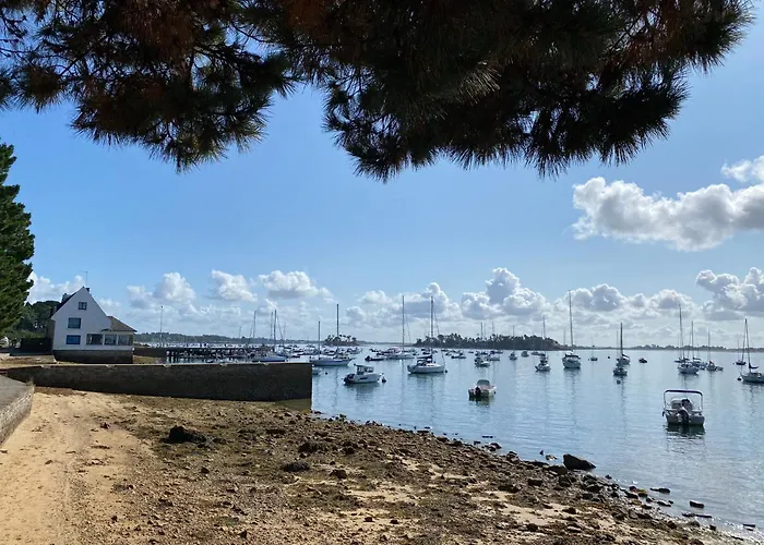 Les Voiles Arradonnaises - Proche sentier côtier