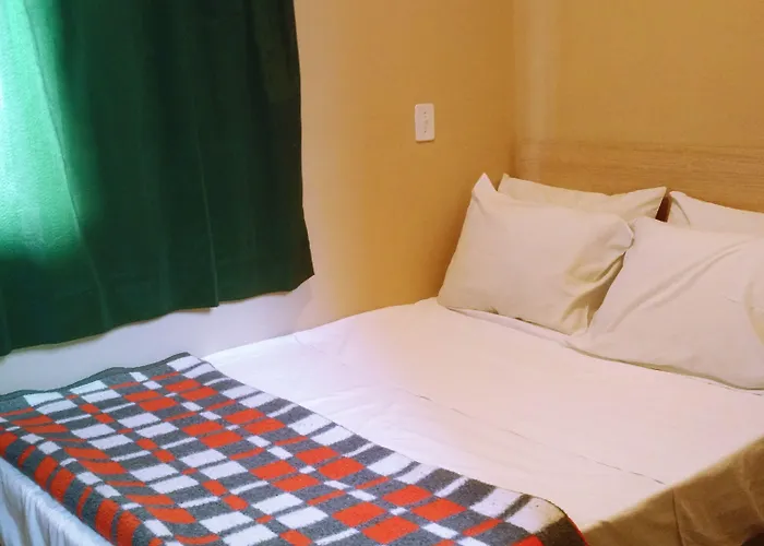 Hotel: HOTEL PAULISTANO Parque Anhembi