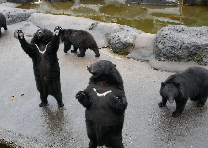 Okuhida Garden Hotel Yakedake