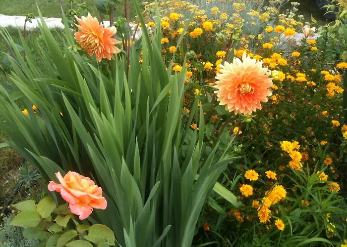 L'Esperluette - Gîte Orange et Gîte Framboise